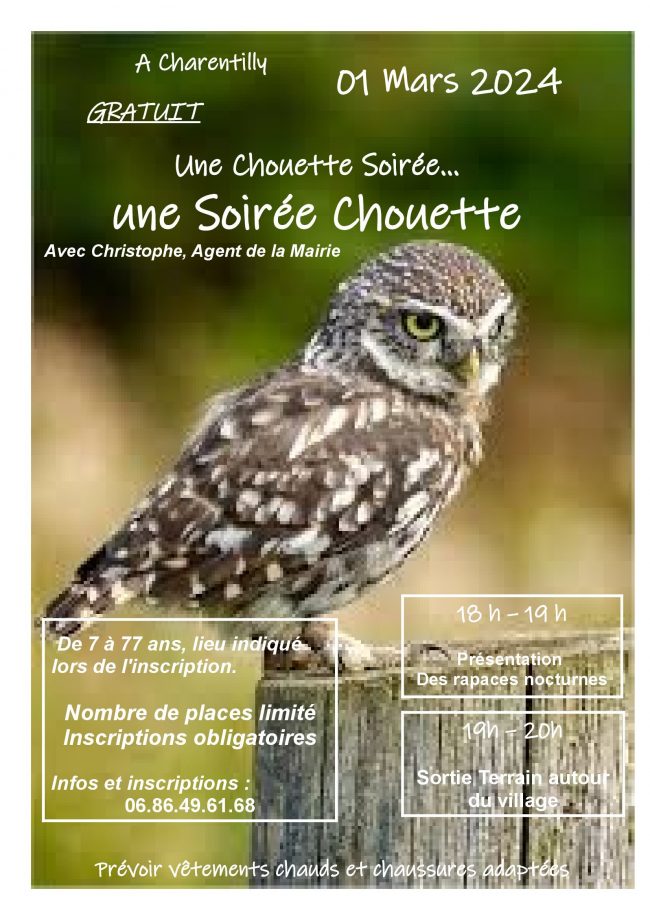 affiche sortie chouettes