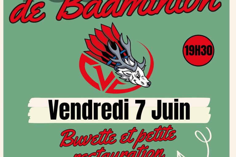affiche tournoi badminton