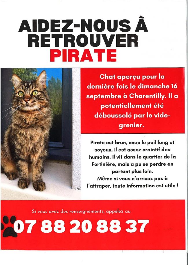 Chat perdu Pirate