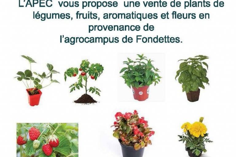 image ventes plantes apec