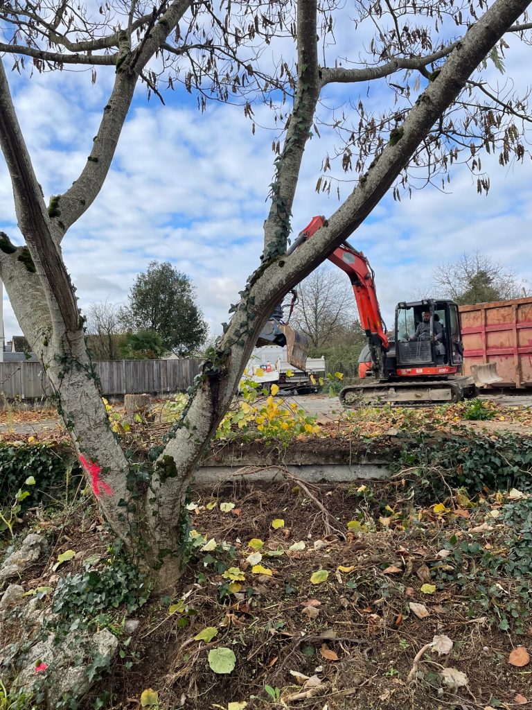 suite enlèvements 17.11.25